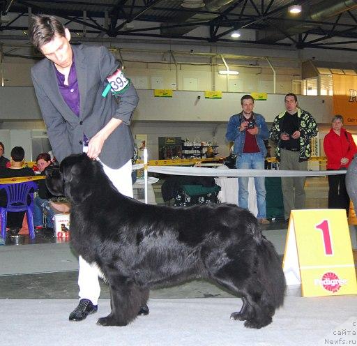 Фотография № 26676