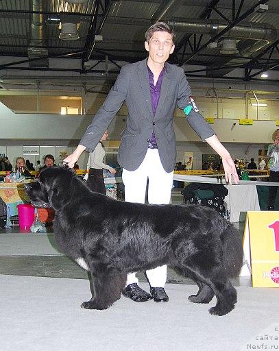 Фотография № 26677