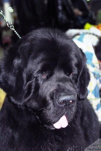 Фотография № 26681