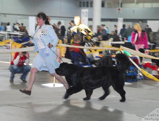 Фотография № 26684