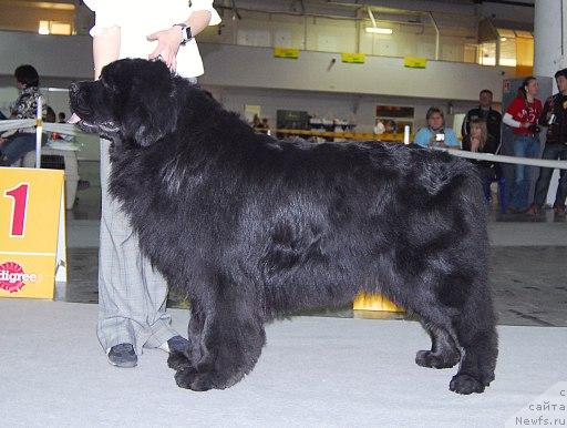 Фотография № 26693