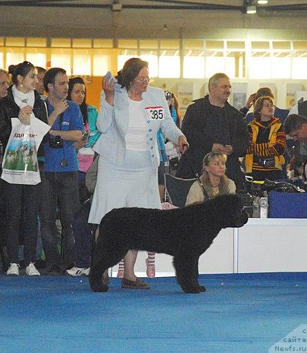 Фотография № 26697