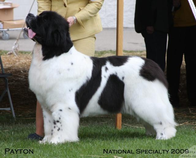 Фотография № 26740