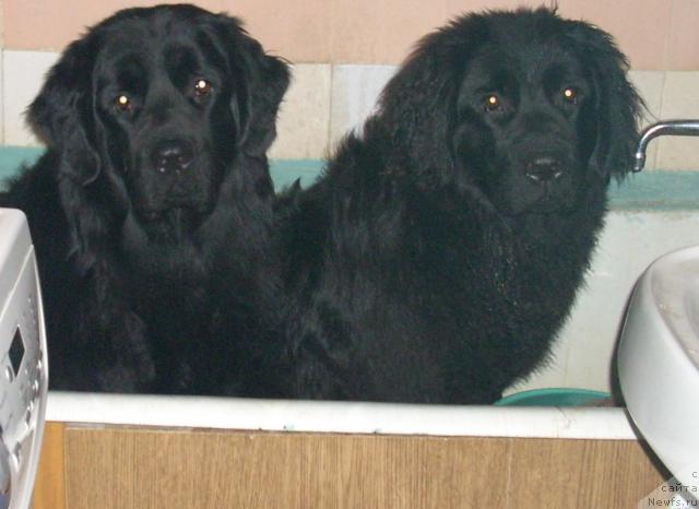 Фото: [d8097]и Санта