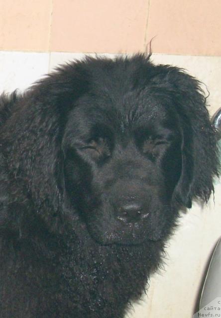 Фото: Санта