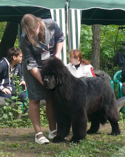 Фотография № 26892