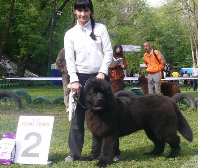 Фотография № 26894