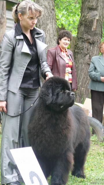 Фотография № 26897