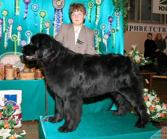 Фотография № 269