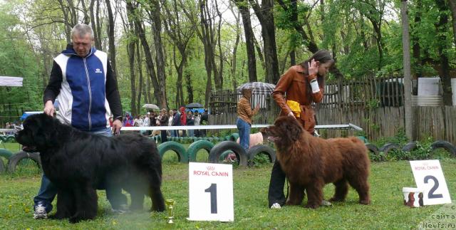 Фотография № 26900