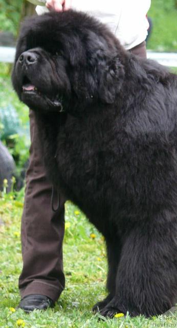 Фотография № 26902