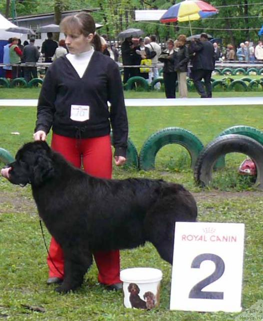 Фотография № 26908