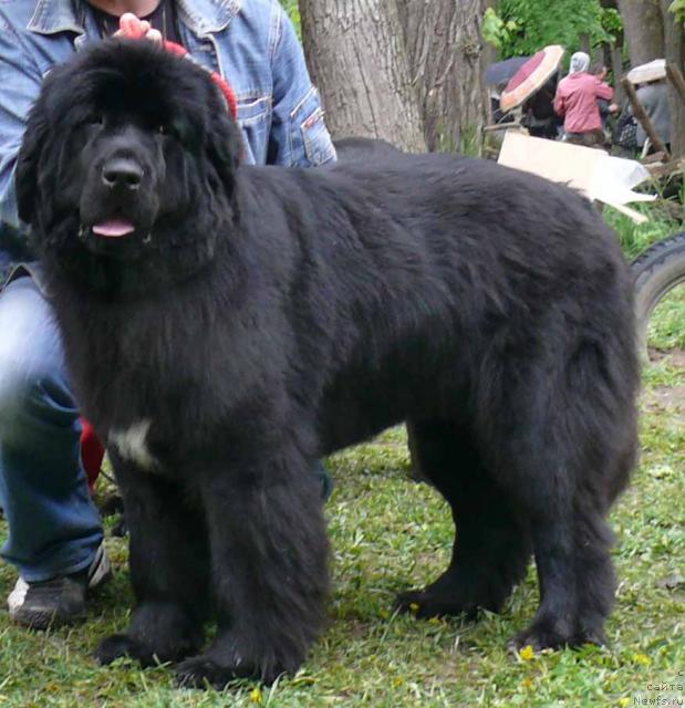 Фотография № 26910