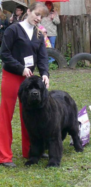 Фотография № 26912