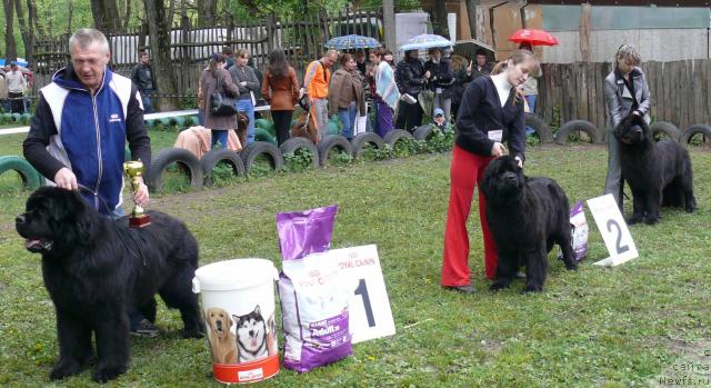 Фотография № 26913