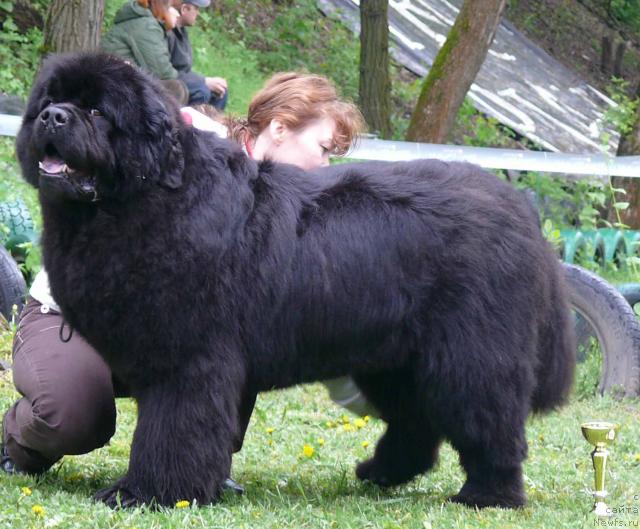 Фотография № 26914