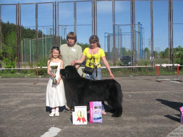 Фотография № 26976