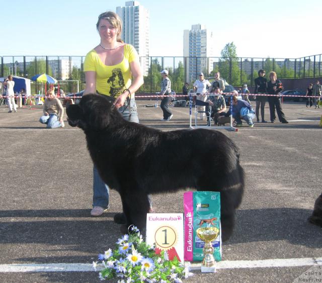 Фотография № 26977