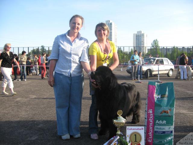 Фотография № 26978