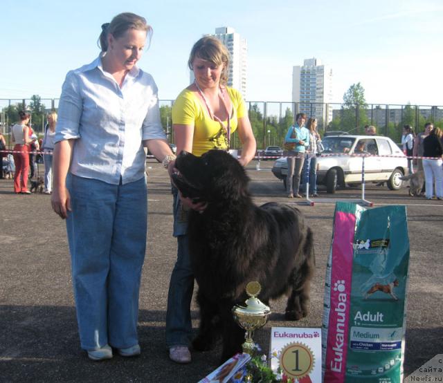 Фотография № 26979