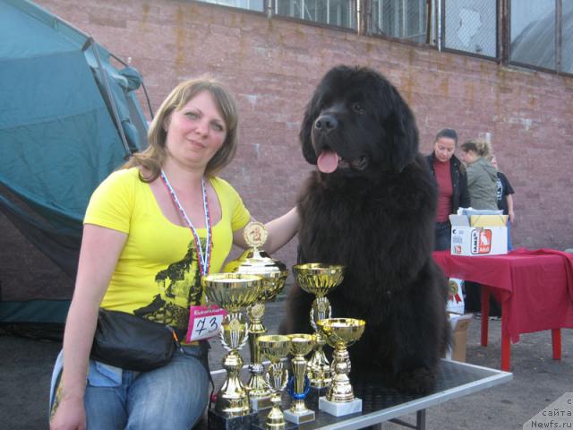 Фотография № 26981