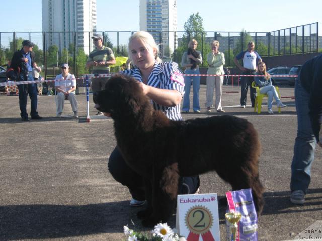 Фотография № 26985