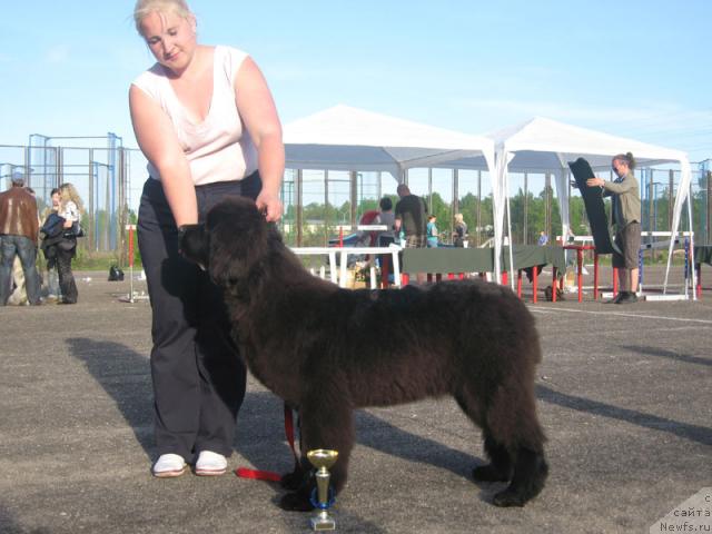 Фотография № 26987