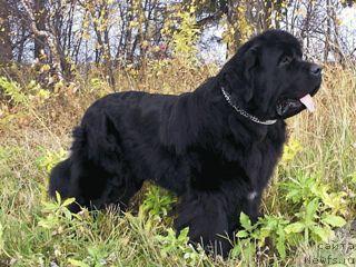 Фотография № 27107