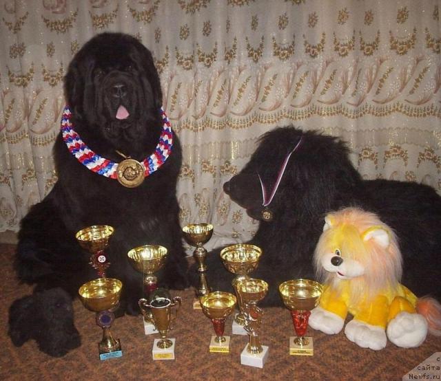 Фотография № 27110