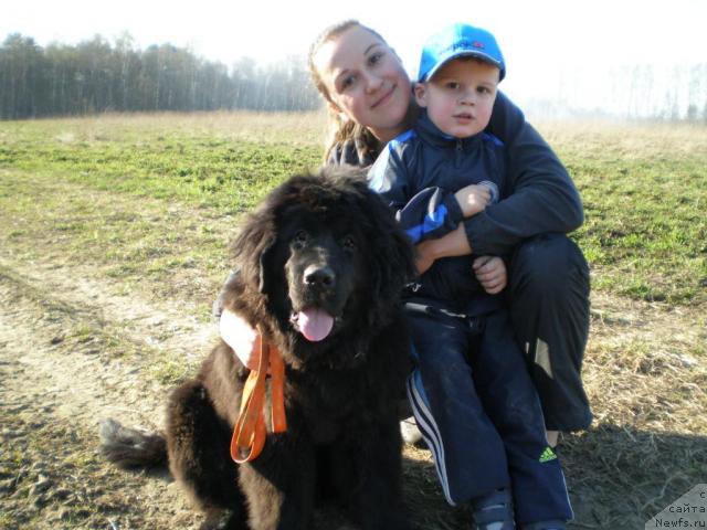 Фото: ньюфаундленд Грация Ночи, Светлана Фатова, Владюха.