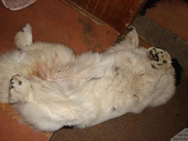 Фотография № 27134