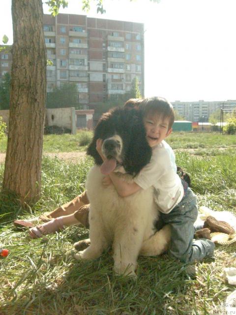 Фотография № 27139