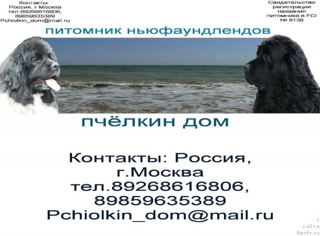 Фотография № 27148