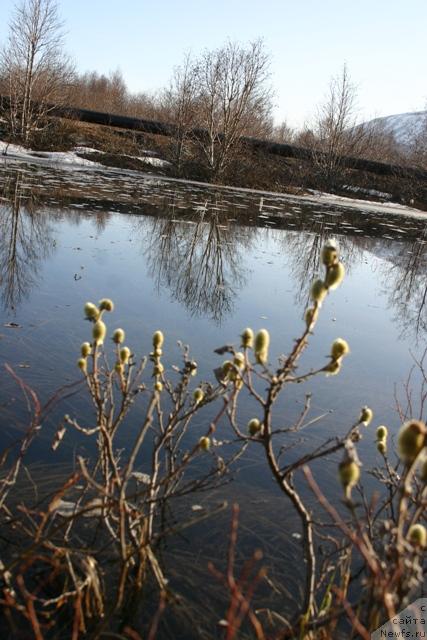 Фотография № 27190