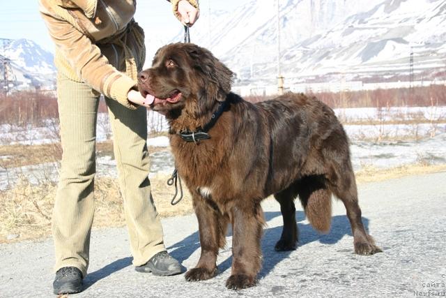 Фотография № 27191