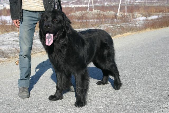 Фотография № 27195