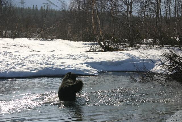 Фотография № 27197