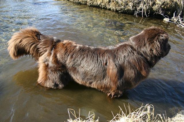 Фотография № 27201