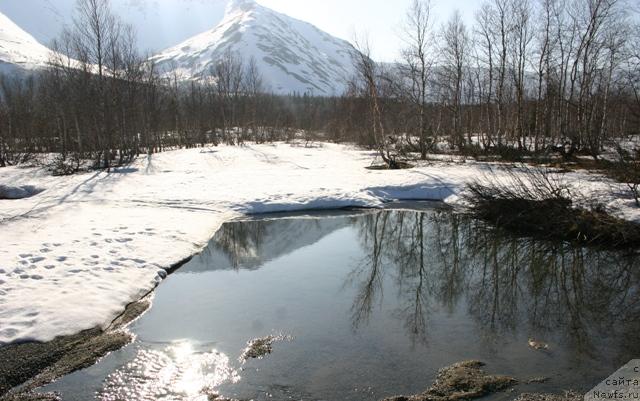 Фотография № 27202