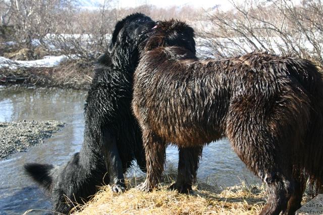 Фотография № 27205