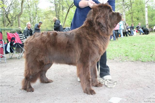 Фотография № 27225