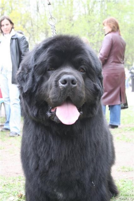 Фотография № 27228