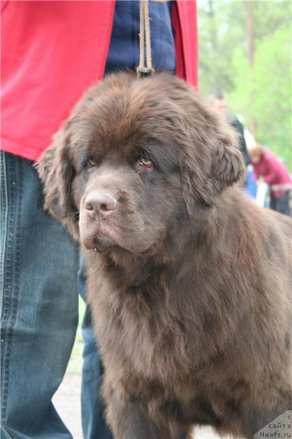 Фотография № 27229