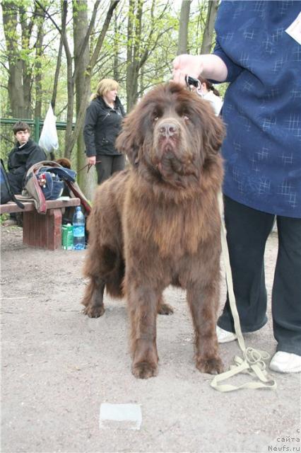 Фотография № 27230