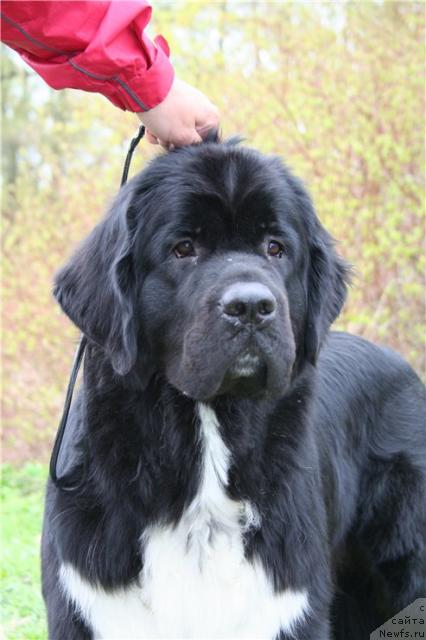 Фотография № 27231