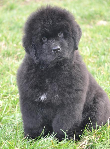 Фотография № 27249