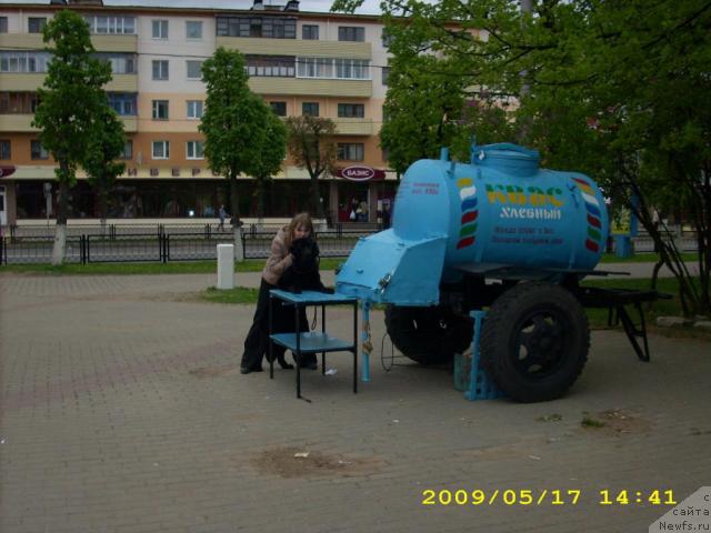 Фото: ньюфаундленд Полярная Ночка, Янина Василькова