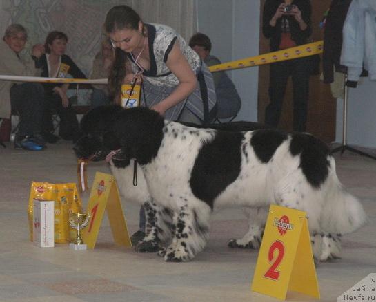 Фотография № 27270