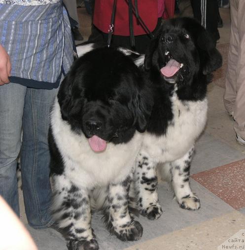 Фотография № 27272