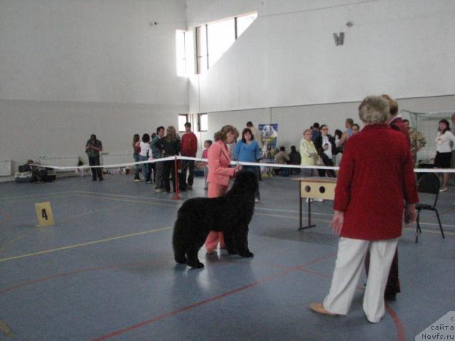 Фотография № 27276